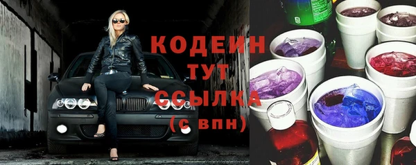 хмурый Гусев