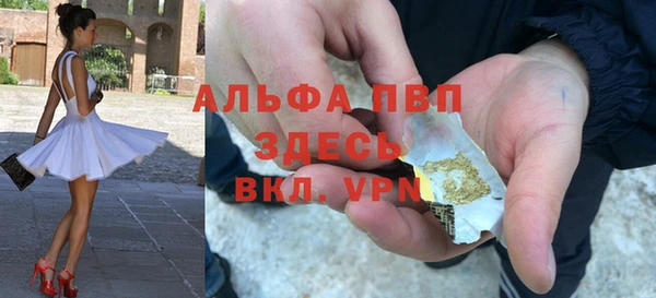 хмурый Гусев